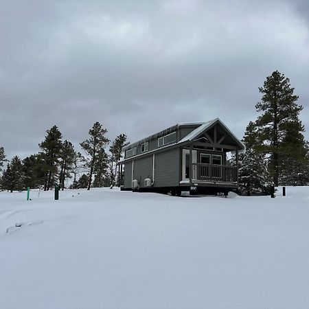 Cozy Cabin By Forest View 4B วิลเลียมส์ ภายนอก รูปภาพ