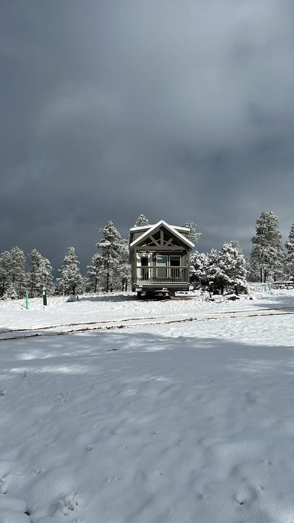Cozy Cabin By Forest View 4B วิลเลียมส์ ภายนอก รูปภาพ